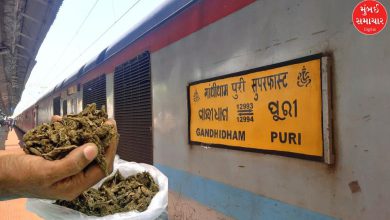Sea or train: Why are different tactics used to smuggle drugs into Kutch?