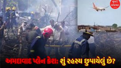Ahmedabad plane crash: The black box in the tail will reveal the mystery! What did the investigators find out?