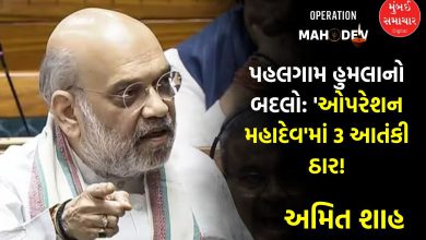 Pahalgam attackers killed under Operation Mahadev: Amit Shah's reply in Parliament