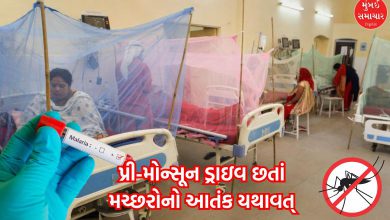 Mumbai Sees Rise in Malaria, Dengue Cases