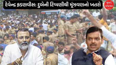 Raut criticizes Fadnavis and Shinde over BJP MP Dubey's remarks amid language controversy