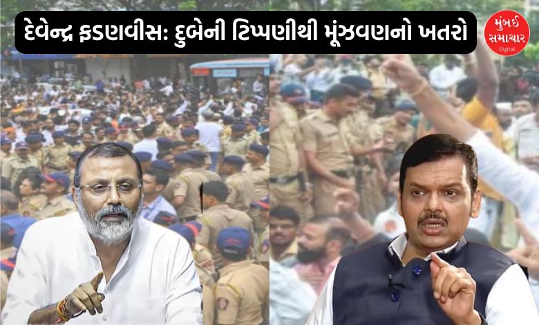 Raut criticizes Fadnavis and Shinde over BJP MP Dubey's remarks amid language controversy