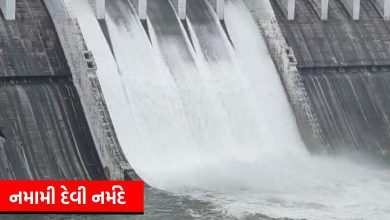 Narmada Dam water level crosses 131 meters: 5 gates opened, villages in the district alerted