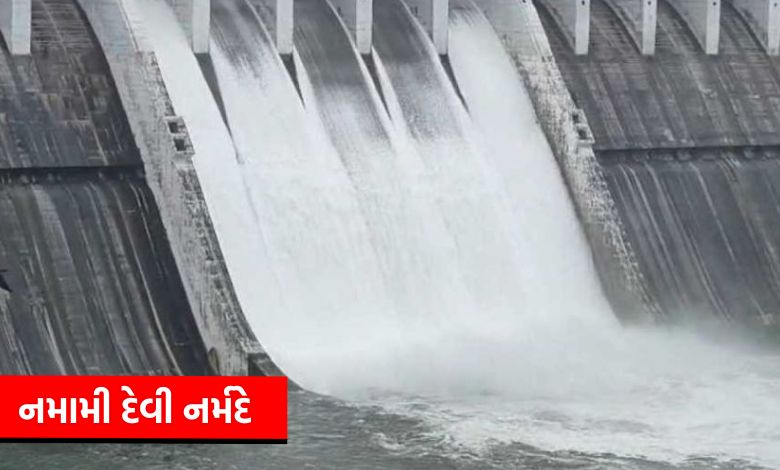 Narmada Dam water level crosses 131 meters: 5 gates opened, villages in the district alerted