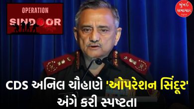 'Operation Sindoor is still ongoing' Why did CDS Anil Chauhan say this?
