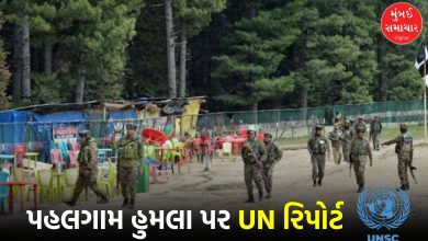 UNSC report big claim Pahalgam attack impossible without Lashkar-e-Taiba support