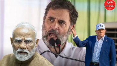 Rahul Gandhi hits out at government: 'Trump is right, Indian economy is dying'