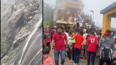 Nature lovers flocked to see waterfalls and springs come alive with the rain in Junagadh-Girnar: VIDEO