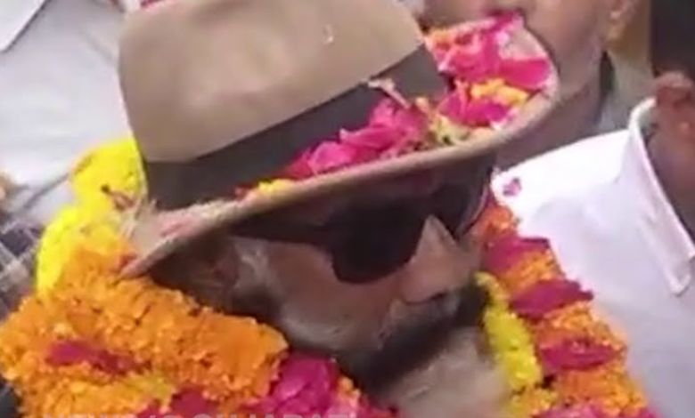 Kshatriya leader finally released from jail, P.T. Jadeja given grand welcome in Rajkot