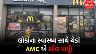 AMC seals McDonald's, they were making veg and non-veg in the same place