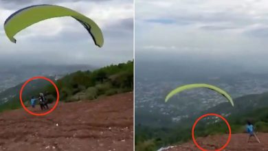 Tourist from Gujarat dies in paraglider crash in Himachal