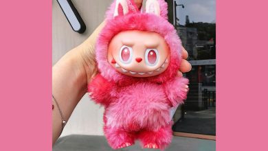 શું ખરેખર ટ્રેન્ડિંગ લાબુબુ ઢીંગલી ડરામણી છે? બાળકો નહીં, મોટા પણ થયા દિવાના!