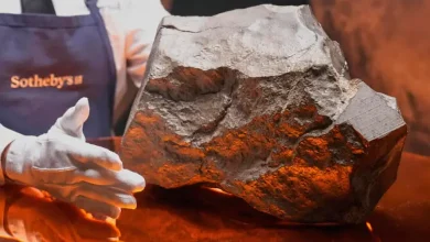 Rare 25kg Mars Rock to be Auctioned in New York