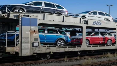 ટ્રેનમાં લોડ થઈ રહેલી કાર, કોંકણ રેલવેની રો-રો સેવા દર્શાવતો ફોટો.