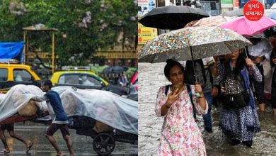 Average rainfall in July is below average This July was the driest in the last decade