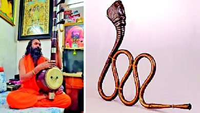 નાગફણી વાદ્ય, જે નાગ જેવો આકાર ધરાવે છે અને પિત્તળમાંથી બનેલું છે