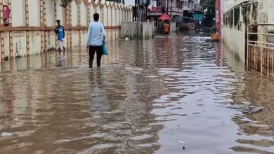 નવસારીમાં આકાશી આફત, ભારે વરસાદથી પૂર્ણા નદીમાં પૂર, 550થી વધુનું સ્થળાંતર