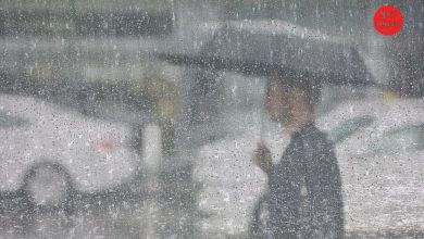 ગુજરાતમાં આજે છૂટા છવાયા વરસાદની આગાહી, લોકો અસહય ગરમીથી પરેશાન