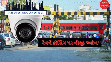 રેલવે ક્રોસિંગ પર ગેટ અને ટ્રેક દેખાઈ રહ્યા છે, સુરક્ષાના ઉપાયો સૂચવતો સિમ્બોલ.