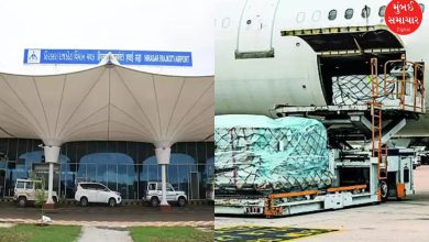 Allowing cargo services at Rajkot airport will benefit over 10,000 traders