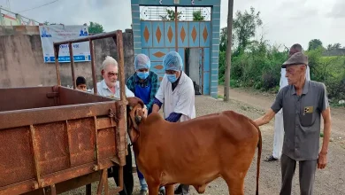 Vaccination Drive Against Lumpy Disease