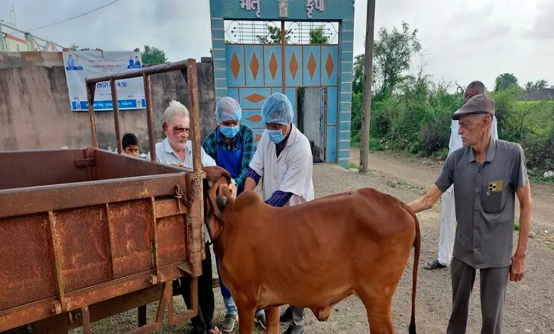 Vaccination Drive Against Lumpy Disease