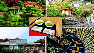 અરાઉન્ડ ધ વર્લ્ડ : ગોરા પાર્ક - મોસ ગાર્ડનથી માંડીને ટી-રૂમ્સનો ફુલ જાપાનીઝ અનુભવ...