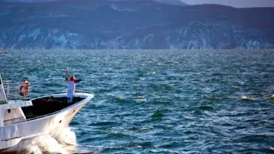 Earthquake measuring 7.4 on Richter scale hits Russia Pacific region tsunami warning issued