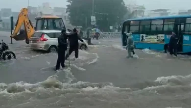 100 percent rainfall in Wadali, Sabarkantha: Most reservoirs filled more than 50 percent