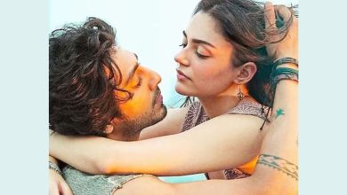 બોક્સ ઓફિસ સૈયાર સહિત બે ફિલ્મોએ મારી એન્ટ્રી, જાણો કઈ ફિલ્મે કેટલું કર્યું કલેક્શન