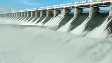 Shetrunji Dam overflows for the sixth consecutive year for the first time in its 60-year history
