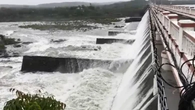 Saurashtra's largest Shetrunji Dam overflows for the second time: 59 gates opened, 17 villages on alert!