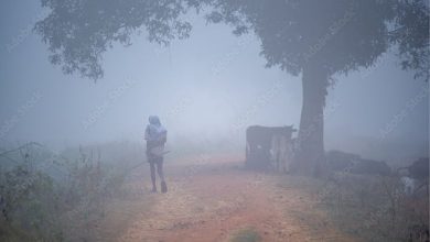 Today's short story: A Fog