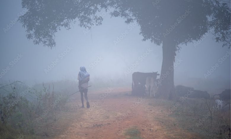 Today's short story: A Fog