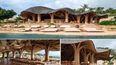 સમુદ્રમાંથી નીકળેલા છીપ જેવી રેસ્ટોરાં! સ્થાપત્યનું વાઈ-ફાઈ - હેમંત વાળા