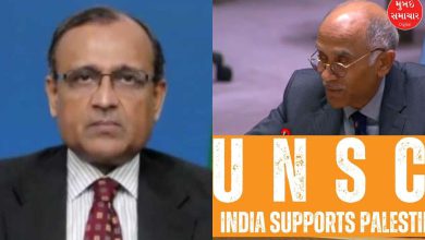 We stand with our Palestinian brothers and sisters: India surprises Israel-America at UNSC