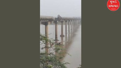 9 dead in Gambhira Bridge accident! Death toll likely to rise, rescue work in full swing