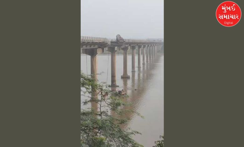 9 dead in Gambhira Bridge accident! Death toll likely to rise, rescue work in full swing