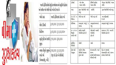 મેટરનિટી વીમો: દરેક પરિવારે ખાસ જાણવા જેવું શું આમાં?