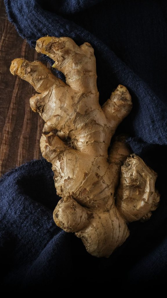 _પ્લીઝ આને અડશો નહીં વેબ સ્ટોરી (43)