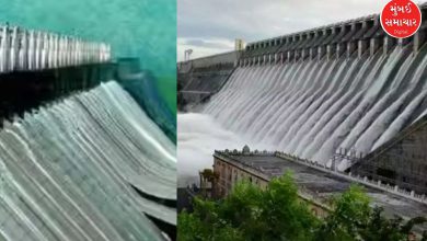 100 dams in the state on high alert, 28 on alert and 17 on warning alert