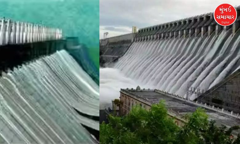 100 dams in the state on high alert, 28 on alert and 17 on warning alert