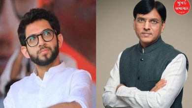 આદિત્ય ઠાકરે અને મનસુખ માંડવિયા