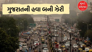 ગુજરાતની હવા ઝેરી બની, 53 દિવસ શ્વાસ લેવામાં મુશ્કેલી
