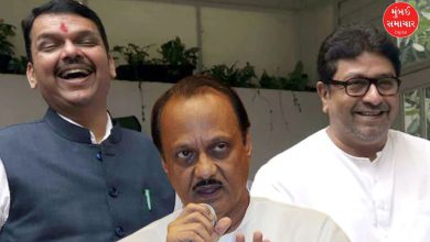 Ajit Pawar's statement on Fadnavis-Raj Thackeray meeting