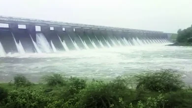Amreli Shetrunji River New Water