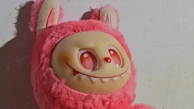 Another bitter experience of Labubu Dol in Surat