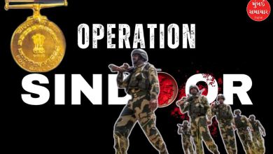 ઓપરેશન સિંદૂર: પાકિસ્તાન સામે અદમ્ય બહાદુરી બદલ 16 BSF જવાનોને વીરતા ચંદ્રક