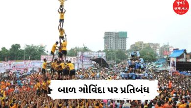 મહારાષ્ટ્રમાં દહીં-હાંડી ઉત્સવ દરમિયાન માનવ પિરામિડ, સલામતીના નિયમોનું પાલન થતું હોય તેવું દ્રશ્ય.