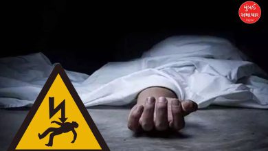 Death due to electrocution in the field